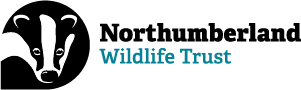 NWT logo web small