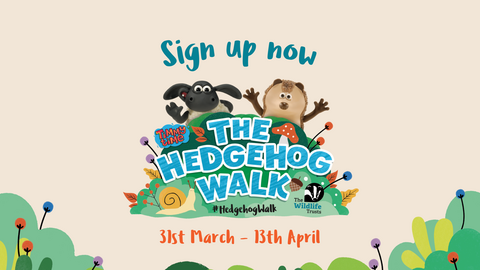 This is an advertisement for "The Hedgehog Walk," a fundraising event running from March 31st to April 13th. The image features Shaun the Sheep and a hedgehog, characters from the children's show Timmy Time, encouraging viewers to sign up. The background includes illustrations of nature. The Wildlife Trusts’ logo is also present, indicating their involvement in the event.
