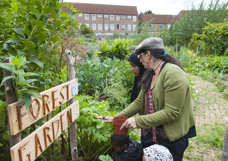 Two women and children explore a urban garden, with a wooden sign that says "Forest Garden “ and in the background are terrace housing.