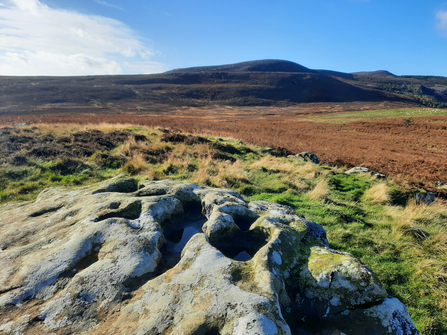 A photograph of the uplands of Rothbury, with a rock in the foreground that looks out upon a field of heather and hills behind them.