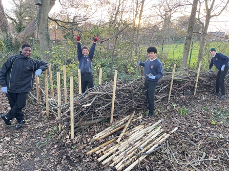 Four boys creating a natural barrier, known as a dead hedge on school grounds.