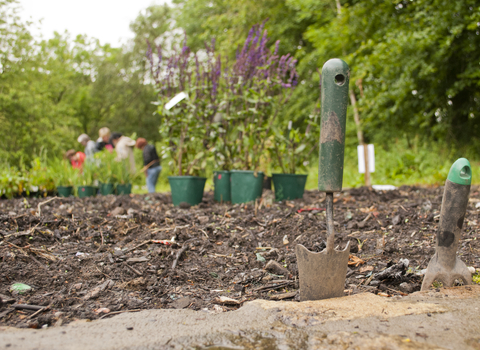Garde with plants ready to be planted and gardeners tools in the foreground.